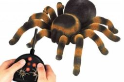 Pavouk Tarantule na dálkové ovládání
